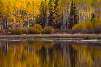 Картинка природа реки озера лес отражение озеро осень