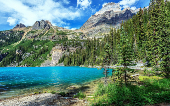 Обои картинки фото природа, реки, озера, озеро, облака, канада, деревья, камни, горы, yoho, national, park, скалы