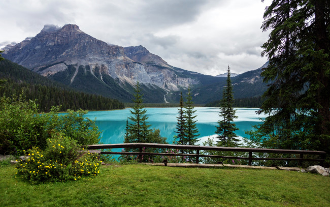 Обои картинки фото природа, реки, озера, yoho, national, park, канада, вид, площадка, озеро, деревья, горы
