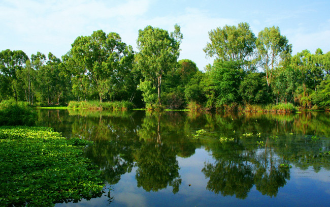 Обои картинки фото природа, реки, озера, зелень, деревья, берег, отражение, вода, река, лето
