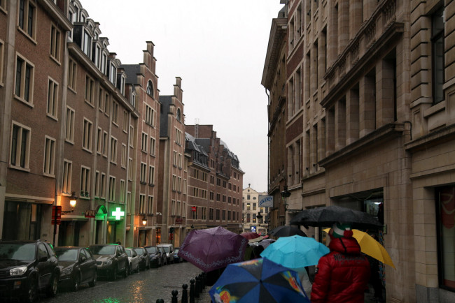 Обои картинки фото города, брюссель , бельгия, улица, зонтики, дождь
