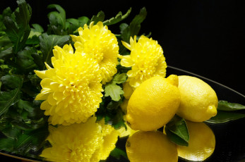 обоя еда, цитрусы, цитрус, лимон, хризантемы, цветы