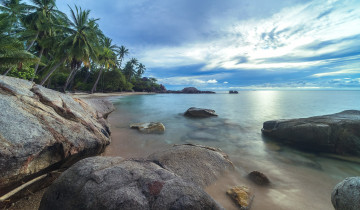 Картинка природа тропики пляж пальмы лето море