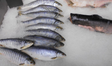 Картинка рыба еда +морепродукты +суши +роллы