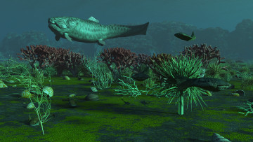 Картинка 3д+графика животные+ animals море рыба