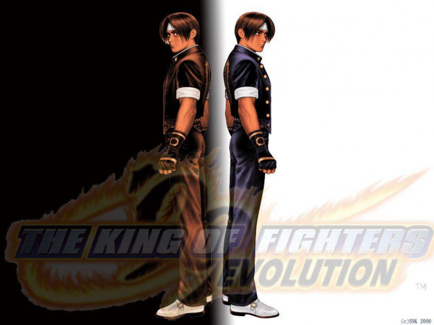 Обои картинки фото the, king, of, fighters, evolution, видео, игры