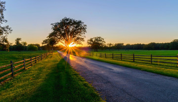 Картинка природа дороги path закат road trees лес park forest spring дорога sunrise sunset восход rays деревья весна парк walk лучи nature