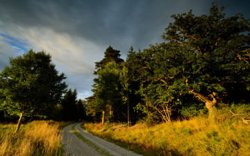 Картинка природа дороги осень пасмурно тучи деревья пейзаж дорога утро