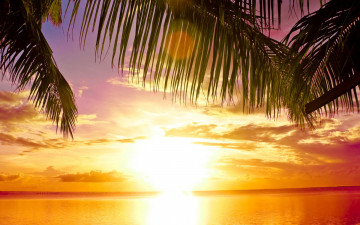 Картинка природа восходы закаты солнце paradise tropical тропики пальмы море пляж закат sunset sea palms beach