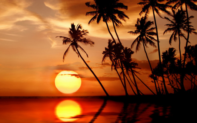 Обои картинки фото природа, восходы, закаты, paradise, tropical, тропики, закат, солнце, пальмы, sea, sunset, пляж, море, beach, palms
