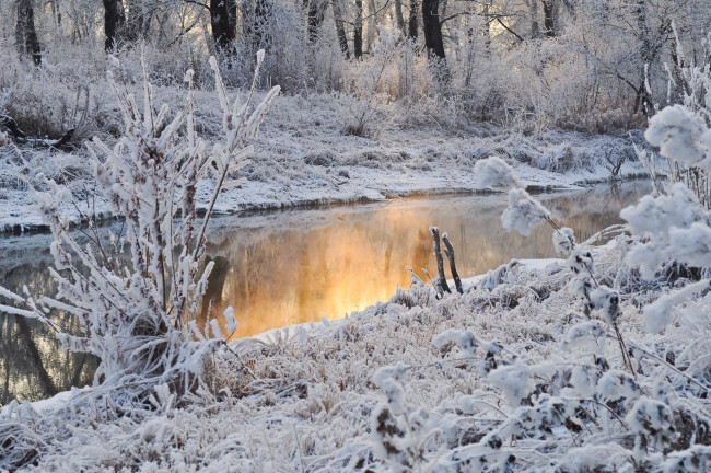 Обои картинки фото природа, реки, озера, отражение, деревья, вода, снег, зима