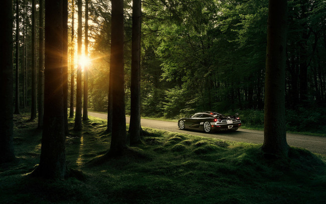 Обои картинки фото автомобили, koenigsegg, солнце, шоссе, дорога, лес, деревья