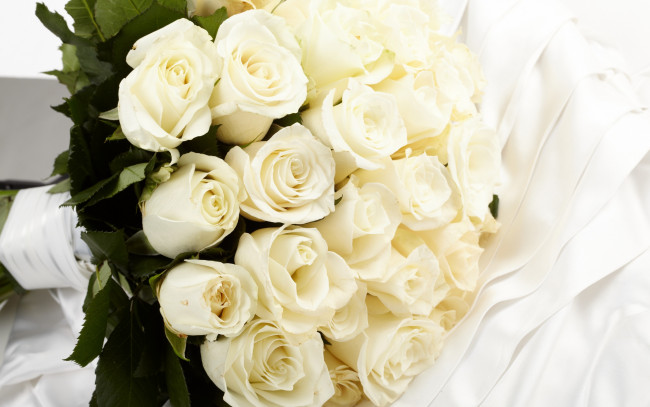 Обои картинки фото цветы, розы, flowers, белые, roses, букет, white