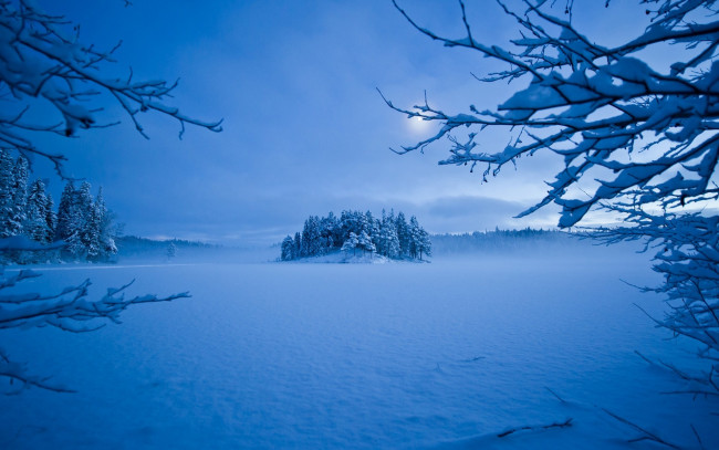 Обои картинки фото природа, зима, деревья, мороз, снег, вечер, луна