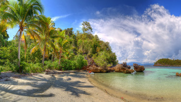 Картинка природа тропики острова облака кусты небо пальмы море