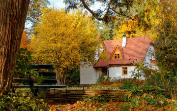 Картинка города -+здания +дома осень листопад дом