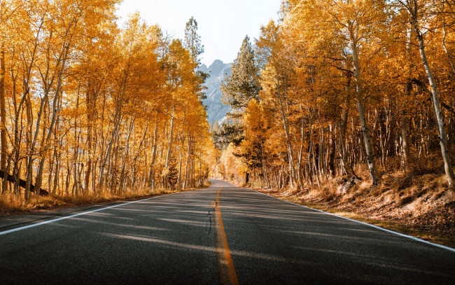 Обои картинки фото природа, дороги, шоссе, осень