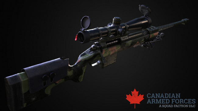 Обои картинки фото оружие, снайперская винтовка, timberwolf, c14, канада, kirill, lyalkov, снайперская, винтовка