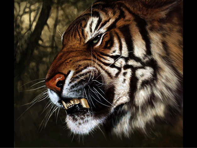 Обои картинки фото тигр, v3, рисованные, животные