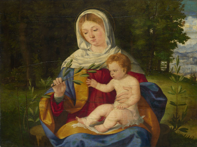 Обои картинки фото andrea, previtali, the, virgin, and, child, with, shoot, of, olive, рисованные