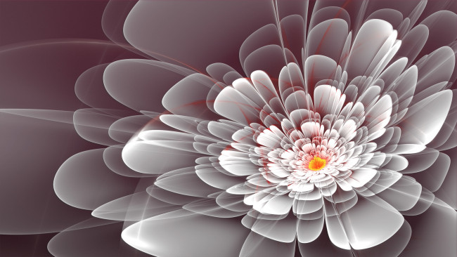 Обои картинки фото 3д, графика, flowers, цветы, абстракция, фон, узор