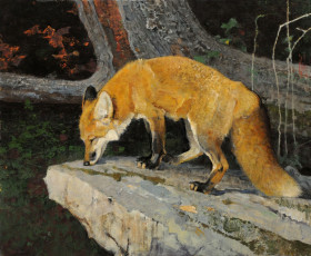 Картинка рисованные bob kuhn хвост рыжая лиса животные камень ветка