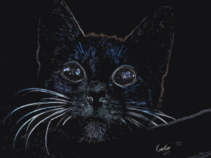 Картинка рисованные животные коты кот фон