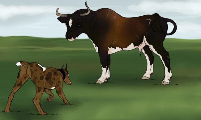 Обои картинки фото рисованные, животные, корова, собака