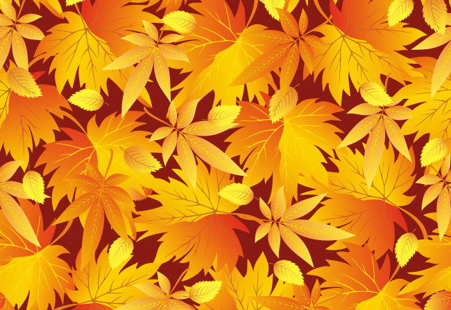 Обои картинки фото векторная графика, природа, the, texture, leaves, fall, осень, листики