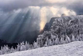 Картинка природа горы деревья зима румыния Чахлэу