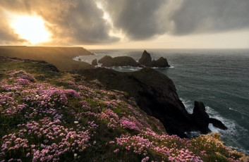 Картинка природа побережье цветы облака вода скалы