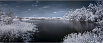 Картинка природа реки озера снег деревья озеро иней