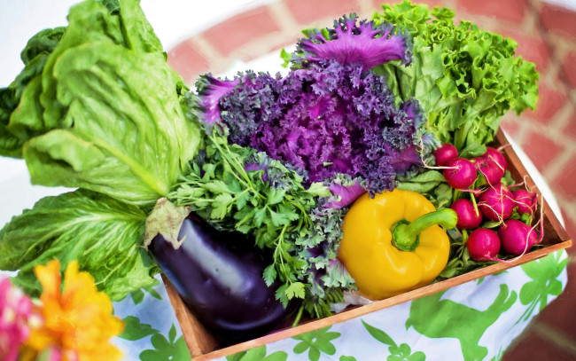 Обои картинки фото еда, овощи, баклажан, зелень, петрушка, редис, салат