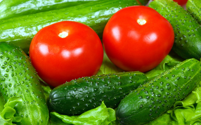 Обои картинки фото еда, овощи, томаты, огурцы, зеленый, салат, красный, помидоры