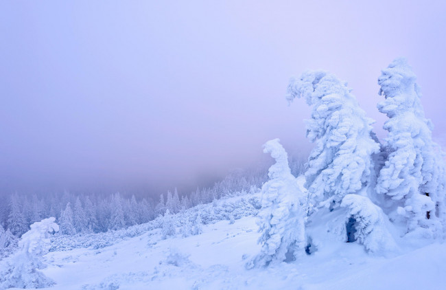 Обои картинки фото природа, горы, деревья, Чахлэу, зима, румыния