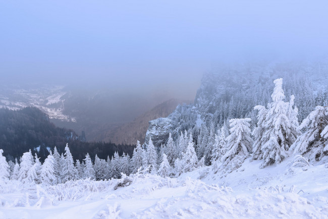 Обои картинки фото природа, горы, зима, румыния, деревья, Чахлэу