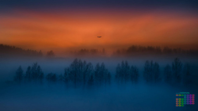 Обои картинки фото календари, природа, деревья, 2018, самолет, туман