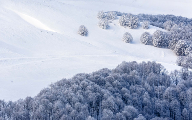 Обои картинки фото природа, зима, снежный, склон, снег, лес, заснеженные, деревья, горы, зимний, пейзаж