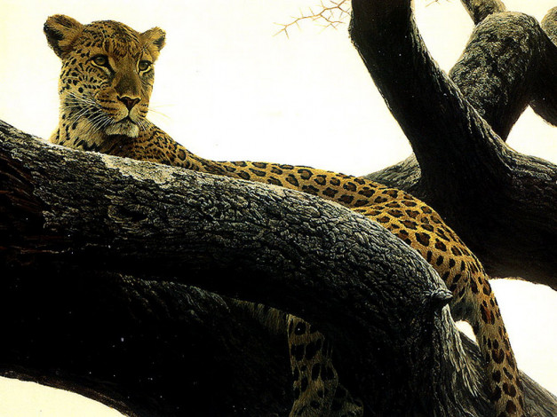 Обои картинки фото рисованные, животные, ягуары, леопарды