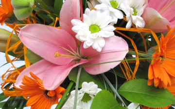 Картинка цветы разные вместе лилия гербера хризантемы