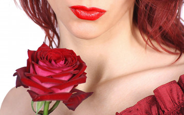 Картинка цветы розы девушка губы роза