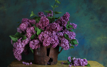 Картинка цветы сирень ветки ваза