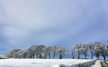 Картинка природа зима деревья поле дорога