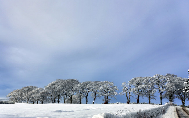 Обои картинки фото природа, зима, деревья, поле, дорога
