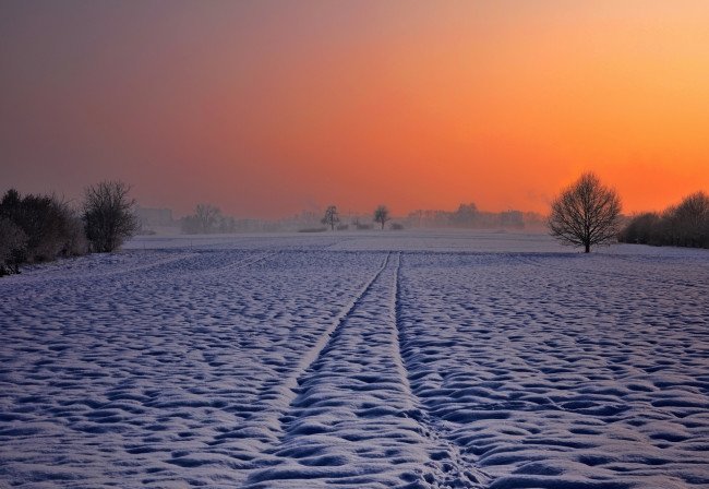 Обои картинки фото природа, зима, закат, поля, снег, швейцария, switzerland