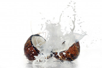 Картинка еда кокос кокосовое молоко орех
