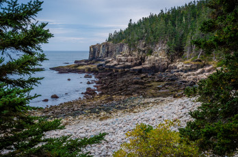 Картинка природа побережье пляж океан лес скалы галька