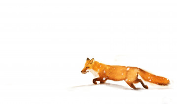 Картинка рисованные животные +лисы белизна лиса снег