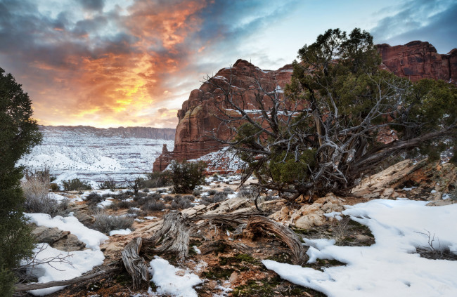 Обои картинки фото природа, горы, скалы, деревья, снег, камни, тучи