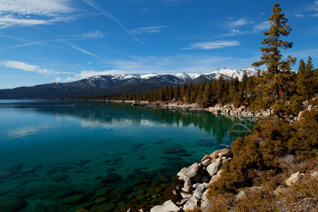 Обои картинки фото озеро  tahoe невада, природа, реки, озера, tahoe, озеро, побережье, лес, невада